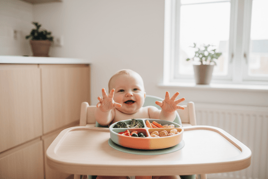 Assiette d'Apprentissage Bébé: Guide Complet & Conseils 2026 - Rigolard Bébé